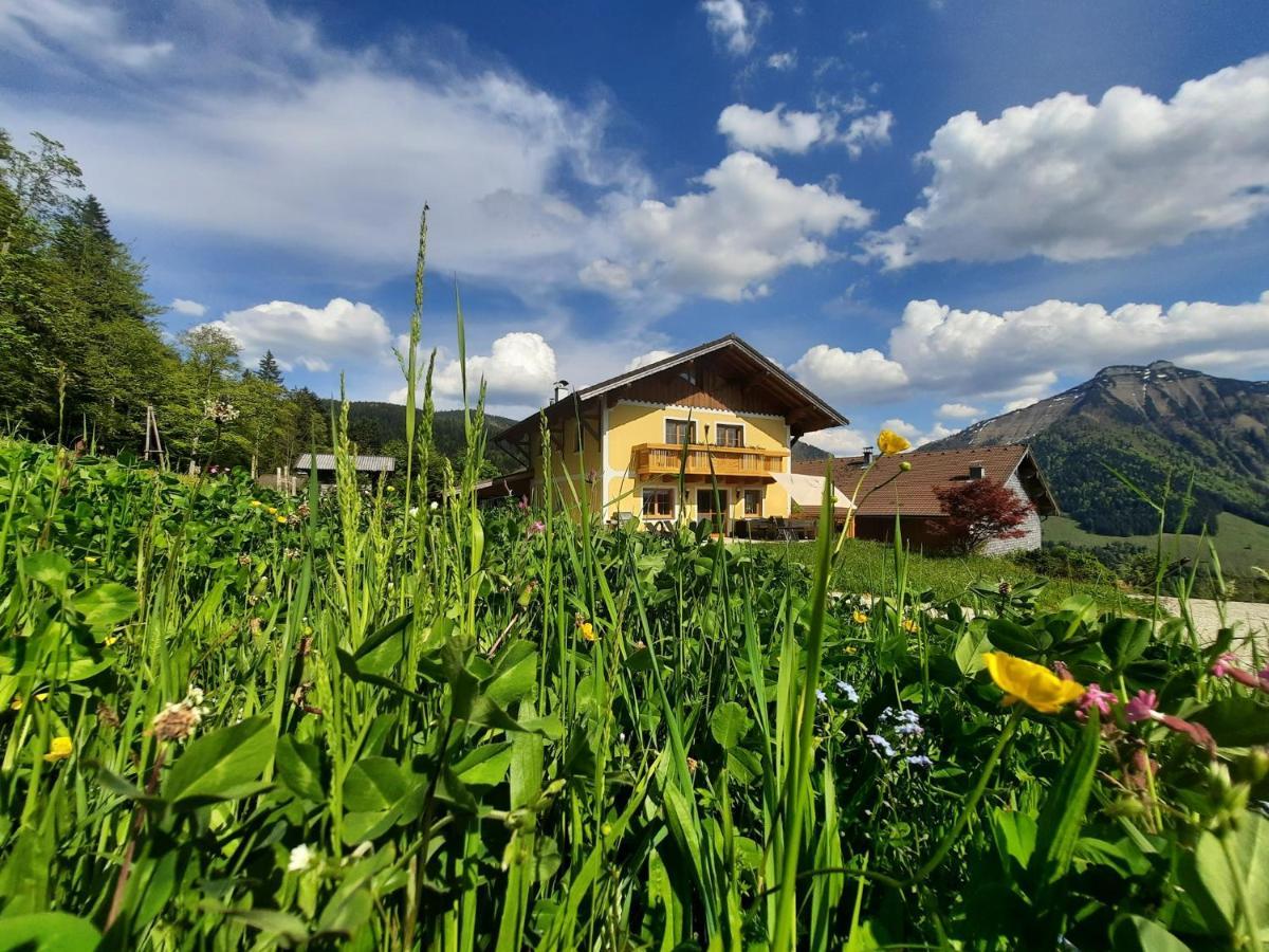 Appartement Reitlhof, Bio Berg Bauernhof Krispl Exterior foto